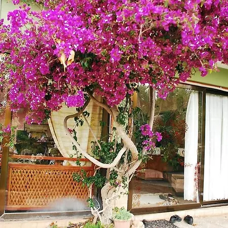 Hello Patara Boutique Hotel Bed & Breakfast
